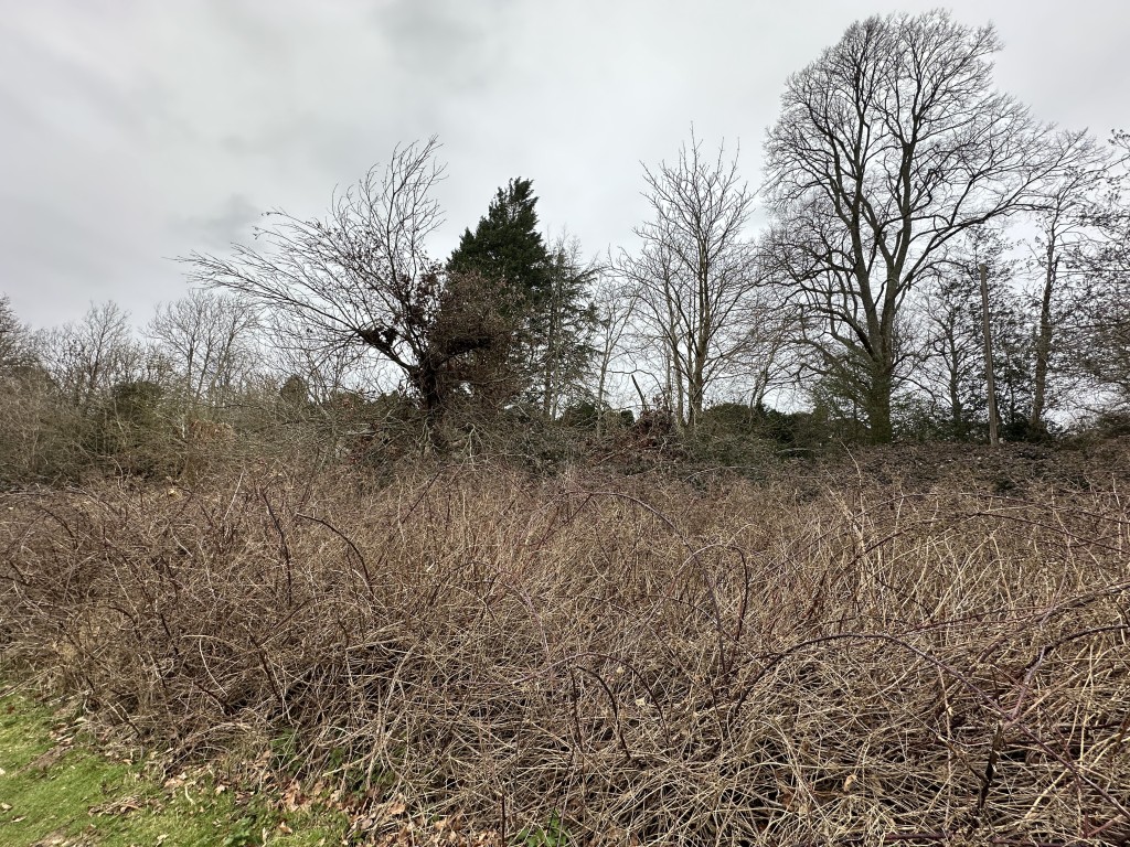 Lot: 74 - 0.29 ACRES OF FREEHOLD BROWNFIELD LAND IN A VILLAGE SETTING - View over overgrown land